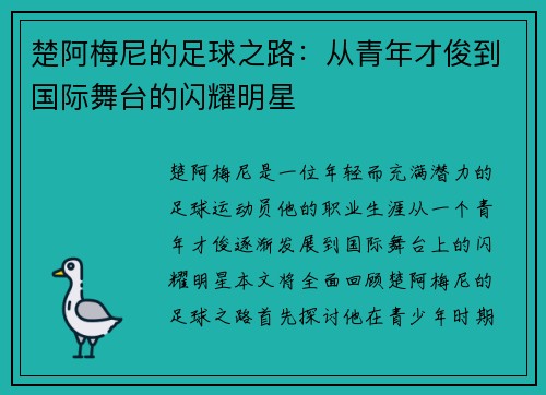 楚阿梅尼的足球之路：从青年才俊到国际舞台的闪耀明星